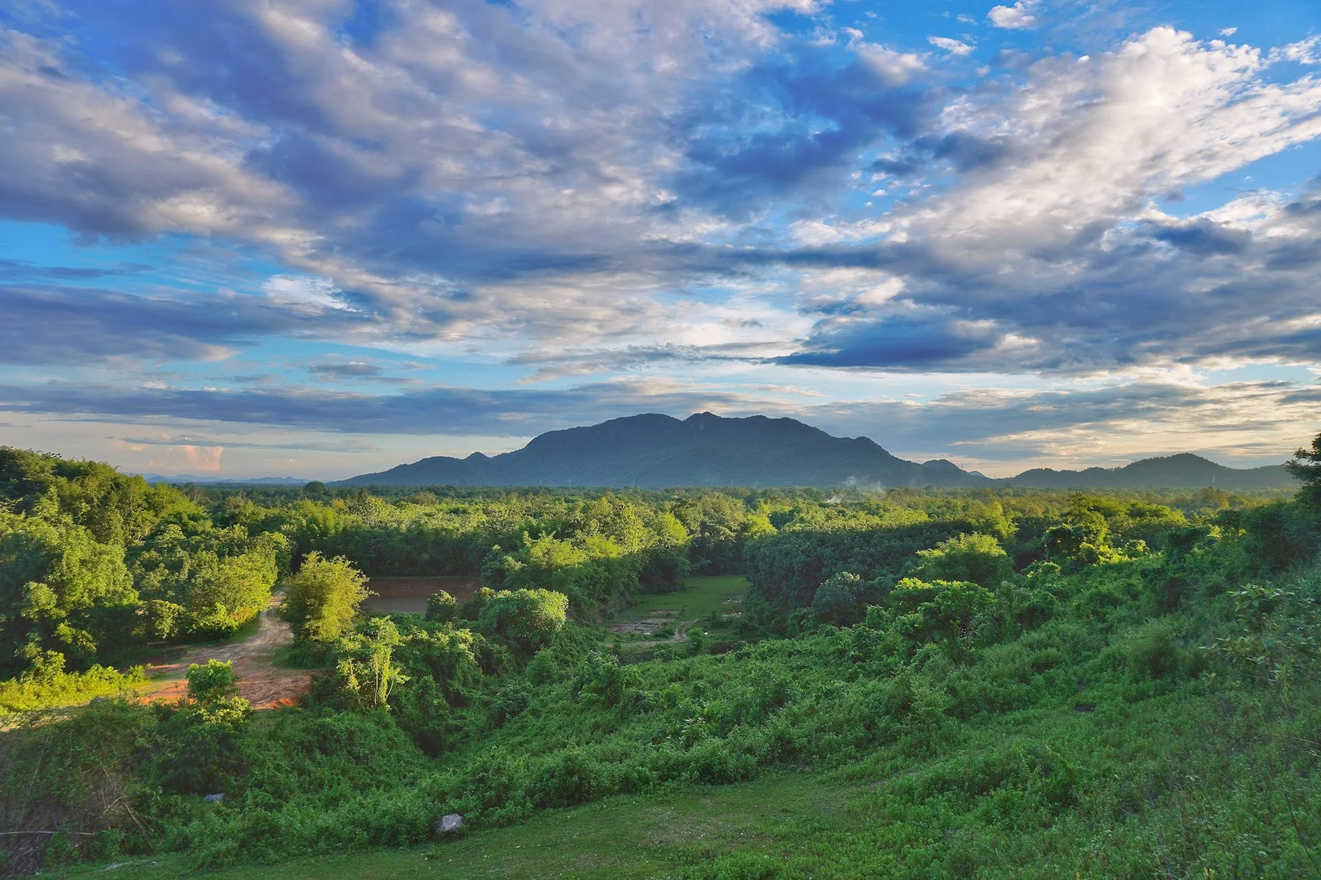 Assam landscape
