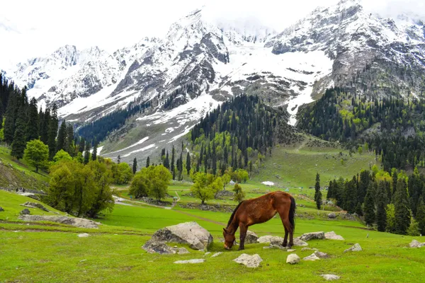 Jammu & Kashmir landscape