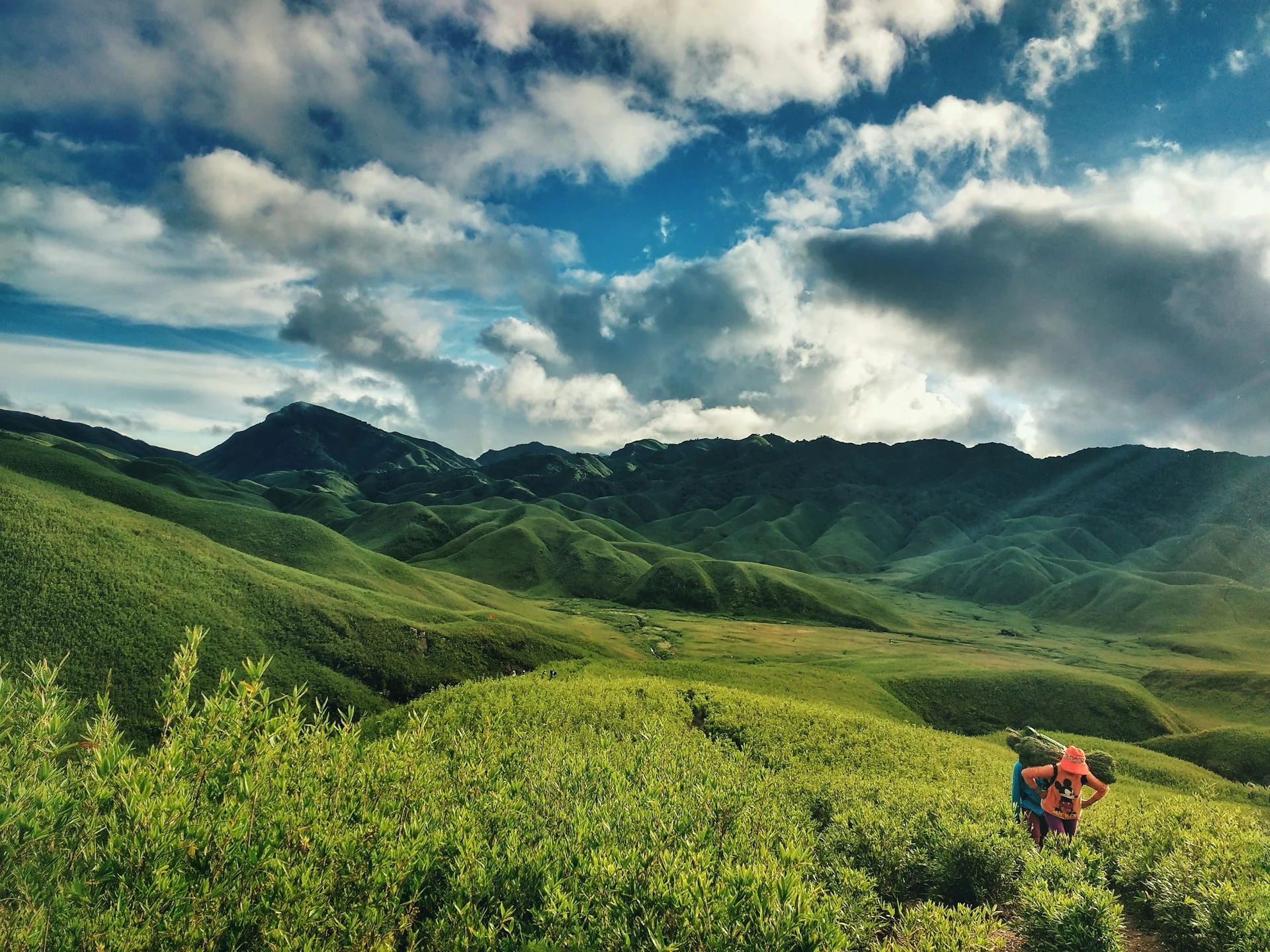 Nagaland landscape